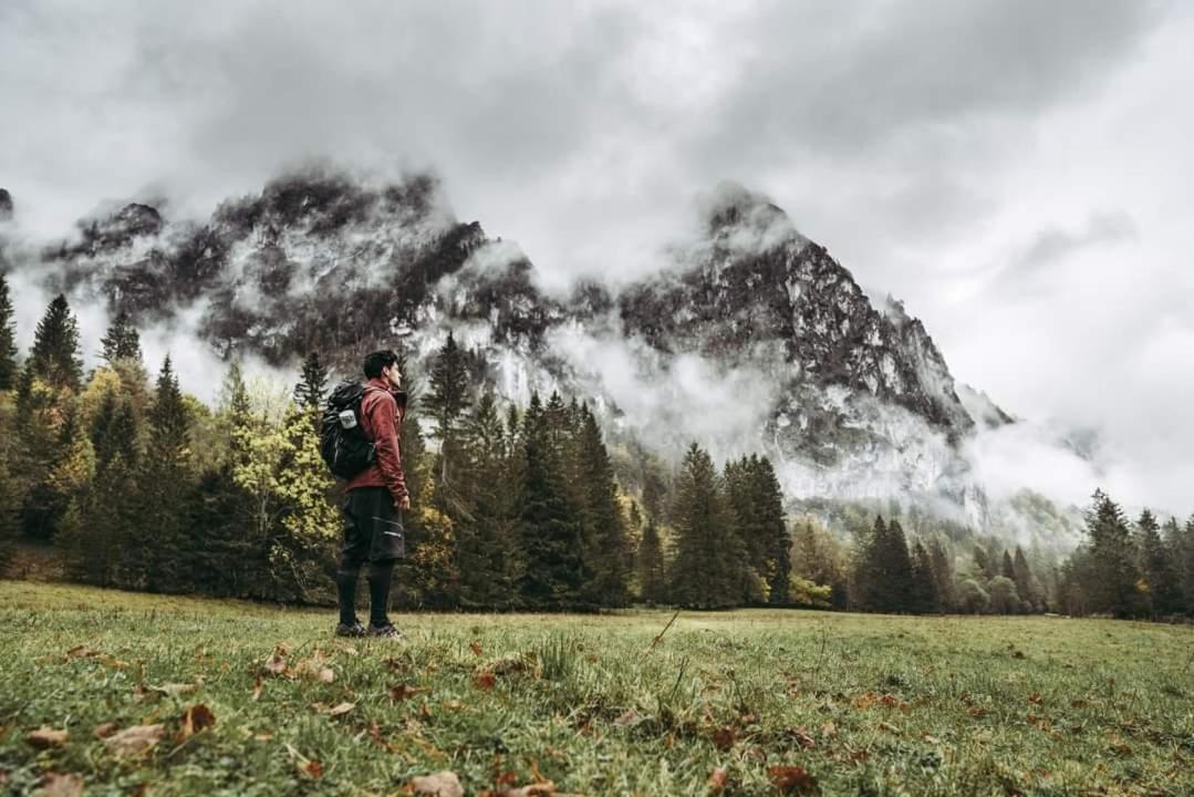 Ferienwohnung Blick Ins Gruene Rossleithen Bagian luar foto