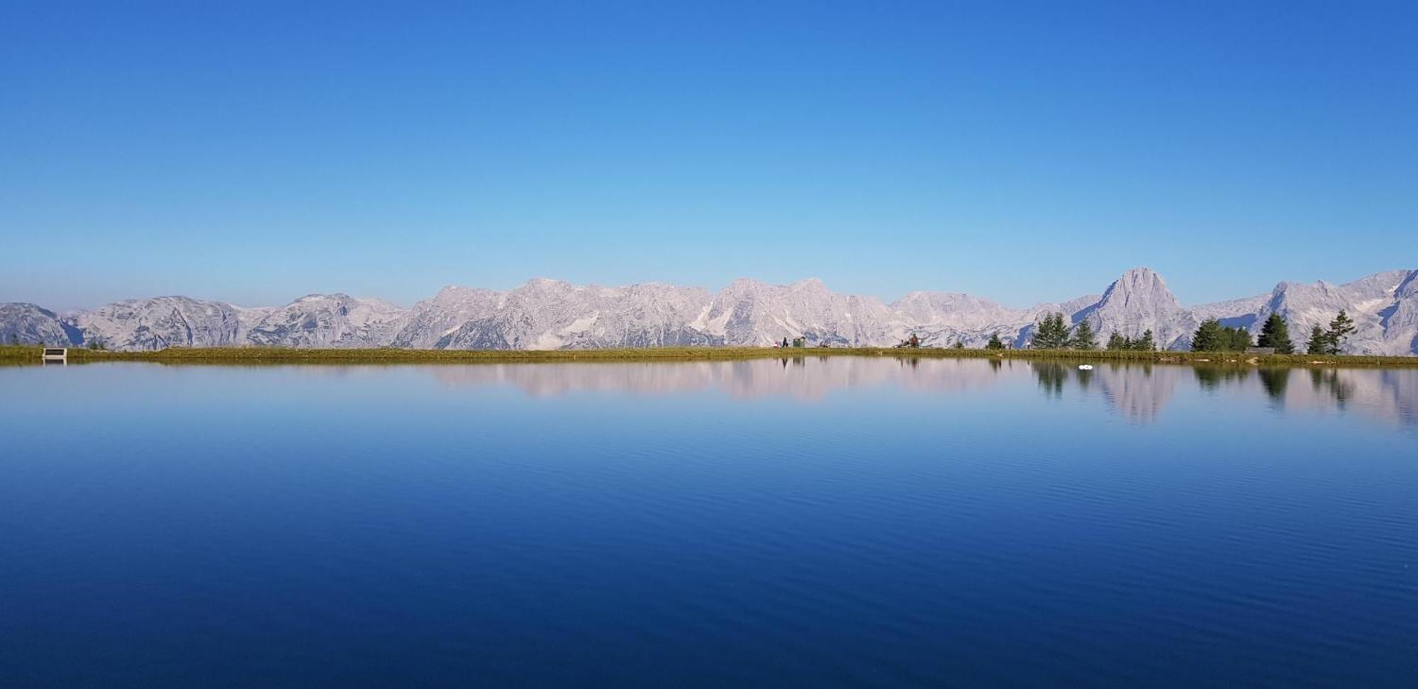 Ferienwohnung Blick Ins Gruene Rossleithen Bagian luar foto