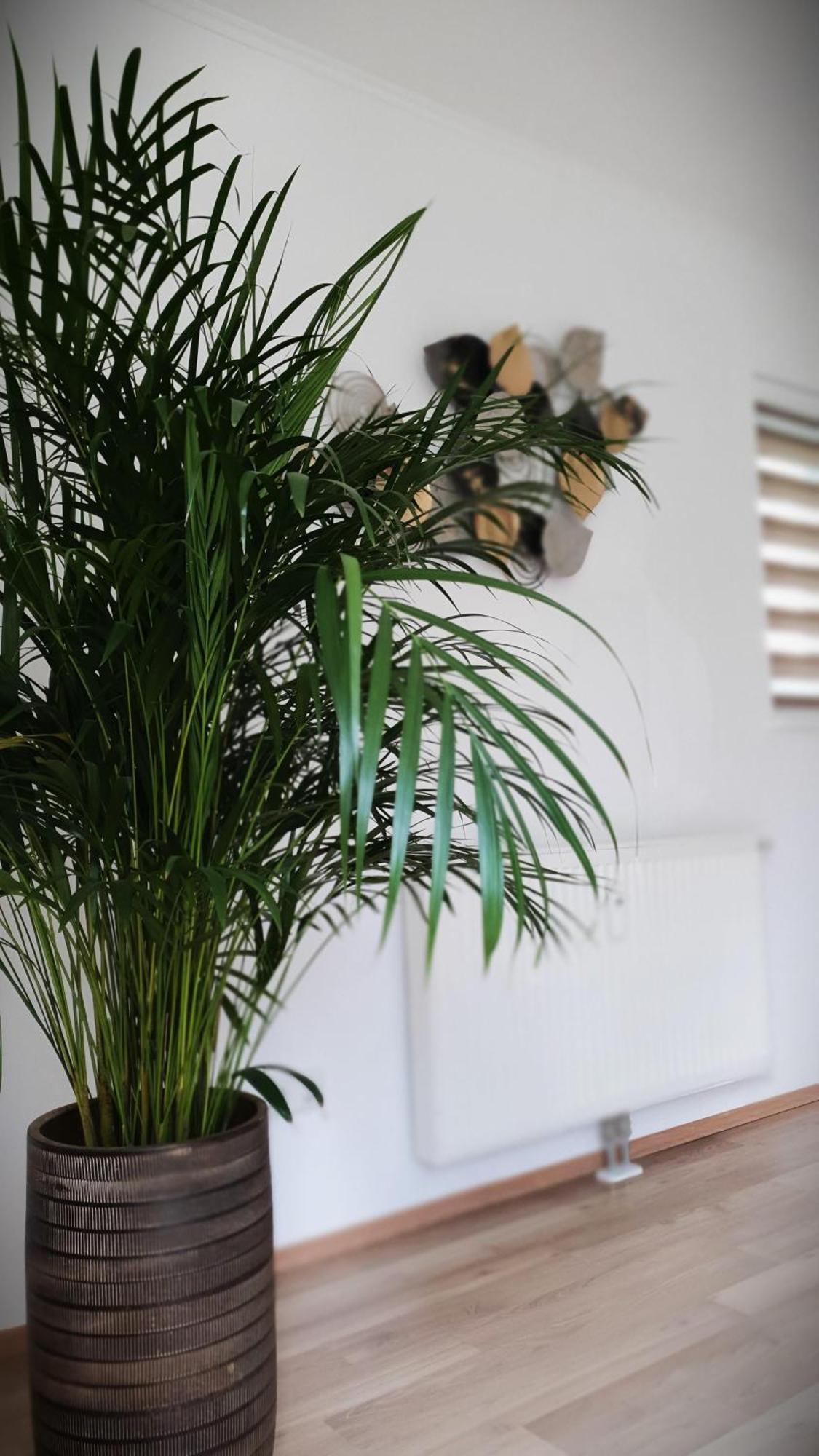 Ferienwohnung Blick Ins Gruene Rossleithen Bagian luar foto