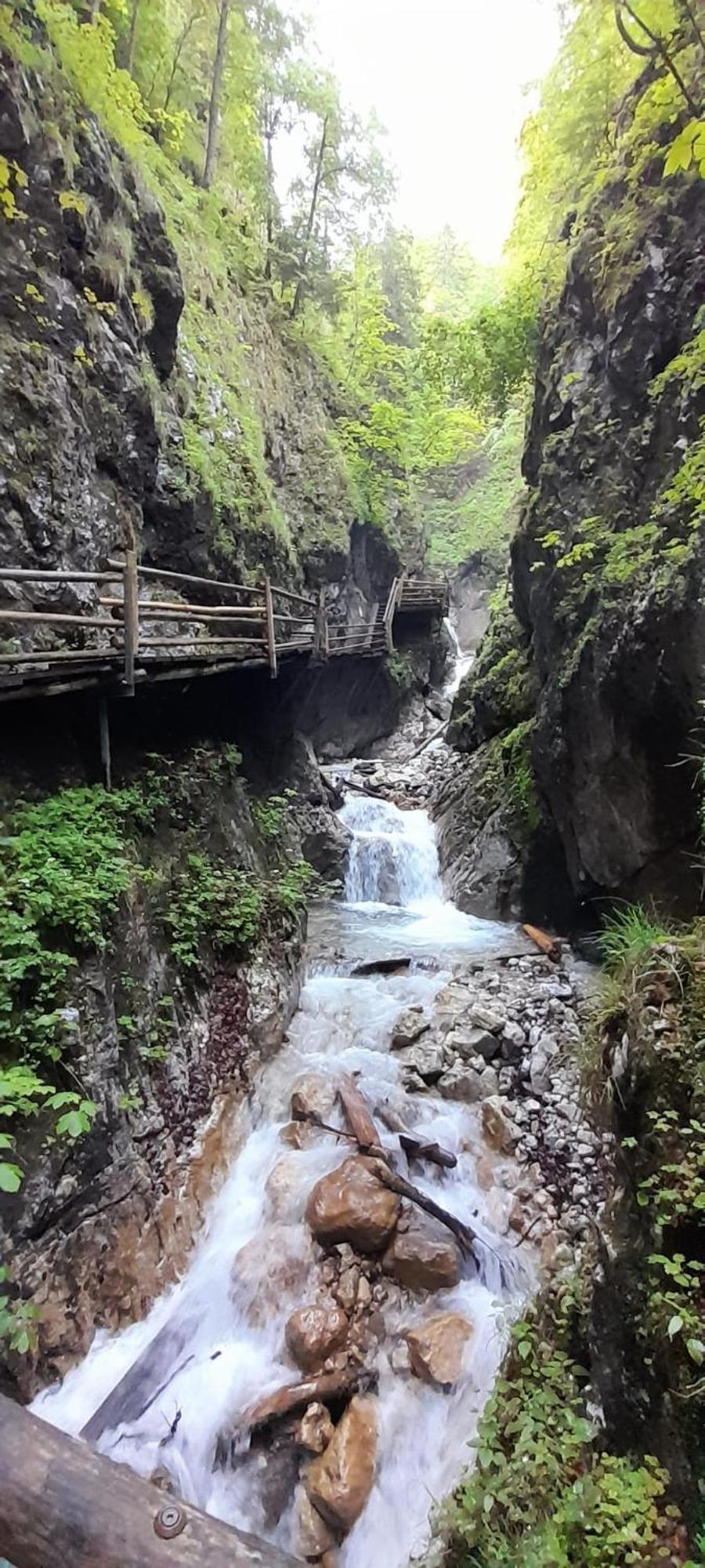 Ferienwohnung Blick Ins Gruene Rossleithen Bagian luar foto