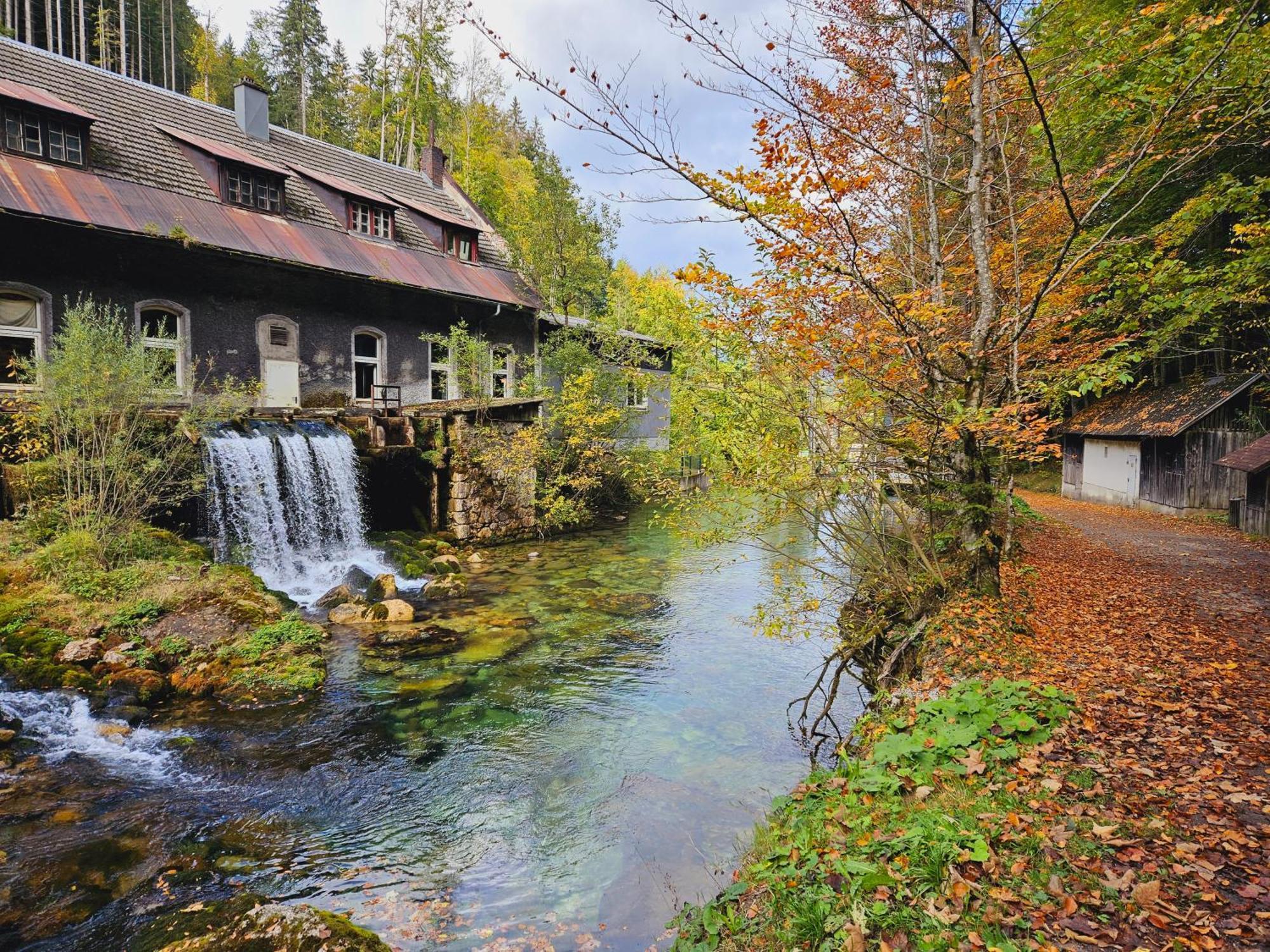 Ferienwohnung Blick Ins Gruene Rossleithen Bagian luar foto